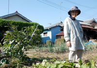畑仕事に励んでいる高齢者はうつ病になりにくい! 愛知県の医師グループが発表