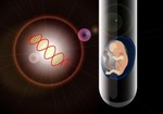 「３人の親」からDNAを受け継ぐ子供の誕生を認める、世界初の「卵子核移植」を英上院が合法化