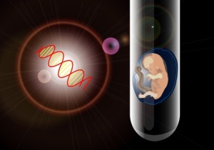 「３人の親」からDNAを受け継ぐ子供の誕生を認める、世界初の「卵子核移植」を英上院が合法化