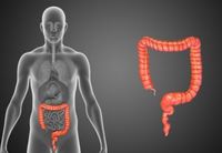 健康維持の秘訣は「腸内フローラ」のバランス! 大腸がんや糖尿病の予防にも大活躍