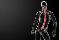 事故による脊髄損傷の再生医療――世界中のバイオテク企業や研究機関の挑戦が続く