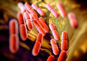 乳酸菌で腸内環境を改善、がんも予防！(新宿大腸クリニック 後藤利夫院長)