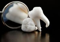 「自己増殖能」を活用した歯の再生医療――歯髄幹細胞から作ったiPS細胞は20％に移植可能！