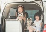 避難所では疎まれる「ペット」の現実～全国初の「犬の殺処分ゼロ」達成した熊本市でさえ