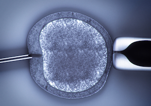 体外受精で「母親」「父親」「女性ドナー」の3人のDNAを持つ男児が誕生！