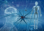 脳神経学の大発見！「iSC細胞（虚血誘導性多能性幹細胞）」の移植で「死んだ神経細胞」が再生した！