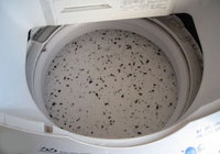 洗濯機にはカビがいっぱい！ 衣類のにおいの原因は洗濯槽の汚れから？