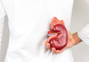 「完璧ではない腎臓」の移植が透析より優れた選択肢に～捨てられる臓器が泣いている！