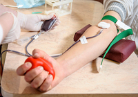 「iPS細胞」による「血小板」の量産がスタート！　献血に頼らずに「血液製剤」の安定供給が可能に   