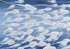 妊活に影響！？ 精子にはブリーフよりもトランクス？ 濃さ・数・運動量に違いが……