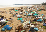 スタバも禁止へ！ レジ袋・ストロー・カトラリー……プラゴミが世界の海を殺す日