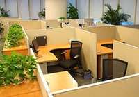 開放的なオフィスで仕事ストレスが減る？ 米国では職場環境による経済損失25兆円！？