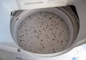洗濯機にはカビがいっぱい！ 衣類のにおいの原因は洗濯槽の汚れから？の画像1